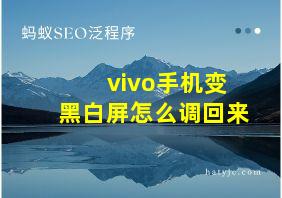 vivo手机变黑白屏怎么调回来