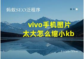 vivo手机图片太大怎么缩小kb