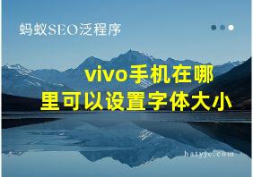 vivo手机在哪里可以设置字体大小