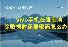 vivo手机在强制清除数据时还要密码怎么办