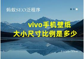 vivo手机壁纸大小尺寸比例是多少