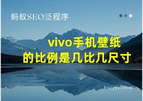 vivo手机壁纸的比例是几比几尺寸