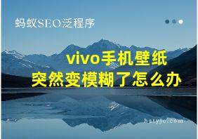 vivo手机壁纸突然变模糊了怎么办