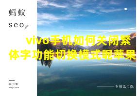 vivo手机如何关闭繁体字功能切换模式呢苹果