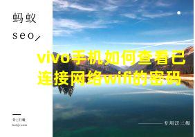 vivo手机如何查看已连接网络wifi的密码