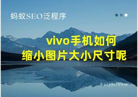 vivo手机如何缩小图片大小尺寸呢