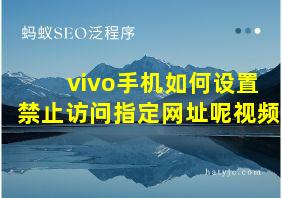 vivo手机如何设置禁止访问指定网址呢视频