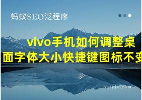 vivo手机如何调整桌面字体大小快捷键图标不变