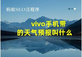 vivo手机带的天气预报叫什么