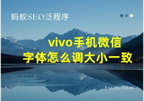 vivo手机微信字体怎么调大小一致