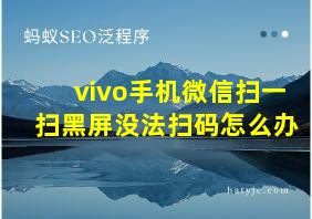 vivo手机微信扫一扫黑屏没法扫码怎么办