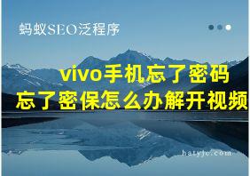 vivo手机忘了密码忘了密保怎么办解开视频