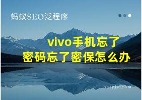 vivo手机忘了密码忘了密保怎么办