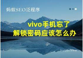 vivo手机忘了解锁密码应该怎么办