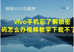 vivo手机忘了解锁密码怎么办视频教学下载不了