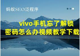 vivo手机忘了解锁密码怎么办视频教学下载