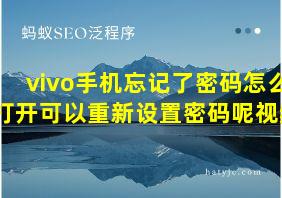 vivo手机忘记了密码怎么打开可以重新设置密码呢视频