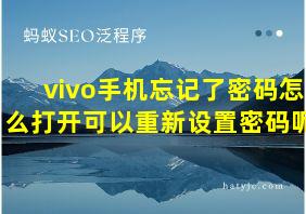 vivo手机忘记了密码怎么打开可以重新设置密码呢