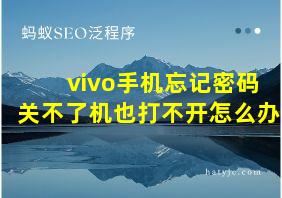 vivo手机忘记密码关不了机也打不开怎么办