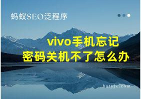 vivo手机忘记密码关机不了怎么办