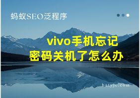 vivo手机忘记密码关机了怎么办