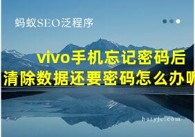 vivo手机忘记密码后清除数据还要密码怎么办呢