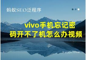 vivo手机忘记密码开不了机怎么办视频