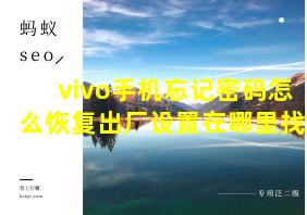 vivo手机忘记密码怎么恢复出厂设置在哪里找