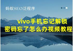 vivo手机忘记解锁密码忘了怎么办视频教程