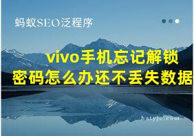 vivo手机忘记解锁密码怎么办还不丢失数据