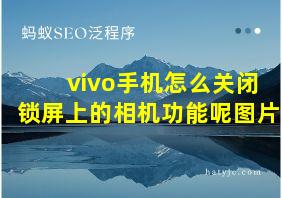 vivo手机怎么关闭锁屏上的相机功能呢图片