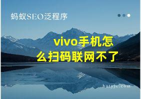 vivo手机怎么扫码联网不了