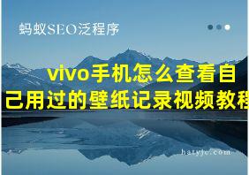 vivo手机怎么查看自己用过的壁纸记录视频教程