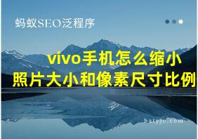 vivo手机怎么缩小照片大小和像素尺寸比例