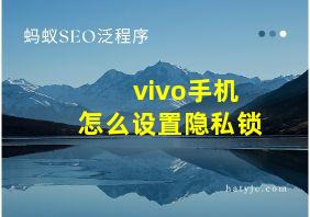 vivo手机怎么设置隐私锁