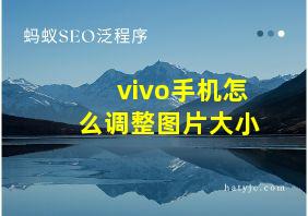 vivo手机怎么调整图片大小