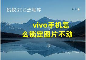 vivo手机怎么锁定图片不动