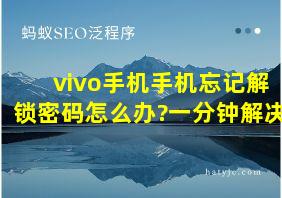 vivo手机手机忘记解锁密码怎么办?一分钟解决