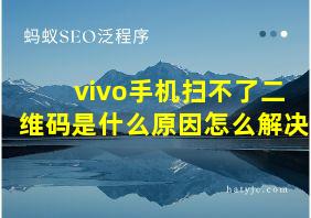 vivo手机扫不了二维码是什么原因怎么解决