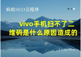 vivo手机扫不了二维码是什么原因造成的