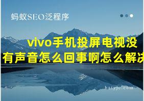 vivo手机投屏电视没有声音怎么回事啊怎么解决