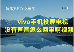 vivo手机投屏电视没有声音怎么回事啊视频