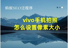 vivo手机拍照怎么设置像素大小