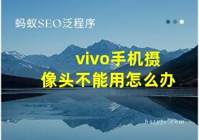 vivo手机摄像头不能用怎么办