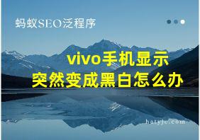 vivo手机显示突然变成黑白怎么办