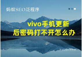 vivo手机更新后密码打不开怎么办