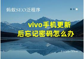 vivo手机更新后忘记密码怎么办