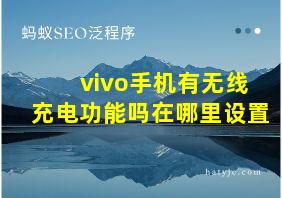 vivo手机有无线充电功能吗在哪里设置