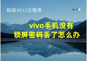 vivo手机没有锁屏密码丢了怎么办