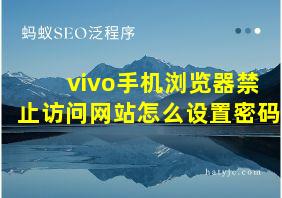 vivo手机浏览器禁止访问网站怎么设置密码